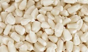 Maize