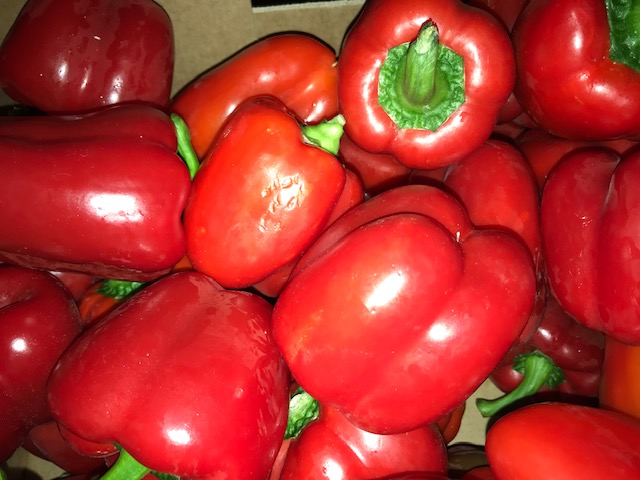Red Papper