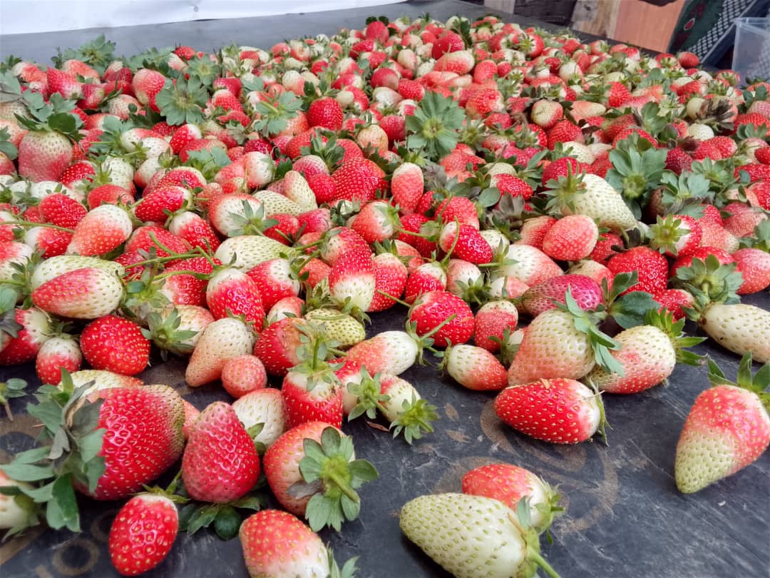 Strawberry