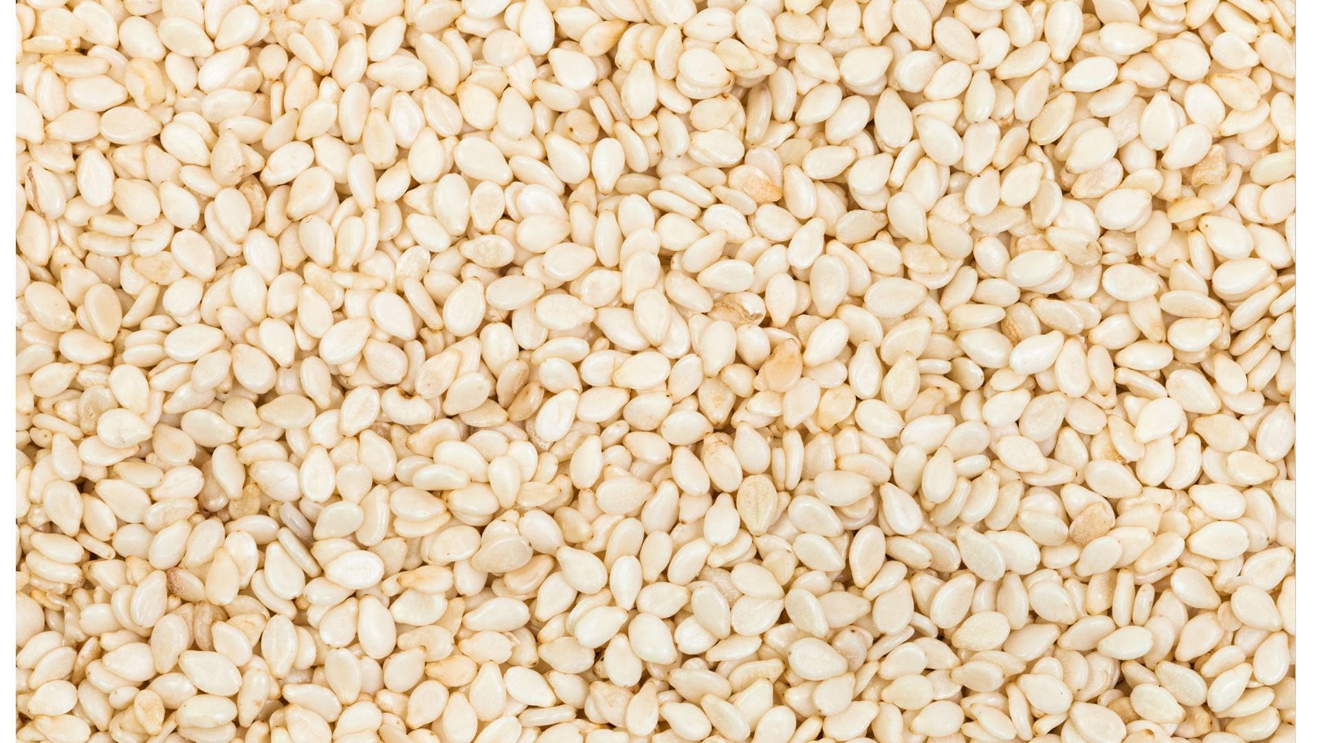 Sesame