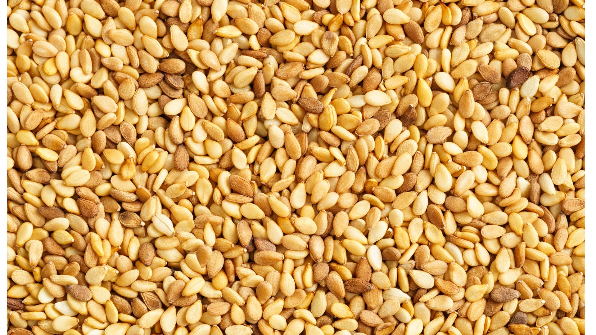 Sesame