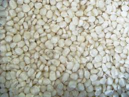 Maize